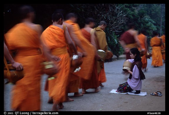 Buddhist monks walking past alm-giving woman. Luang Prabang, Laos (color)