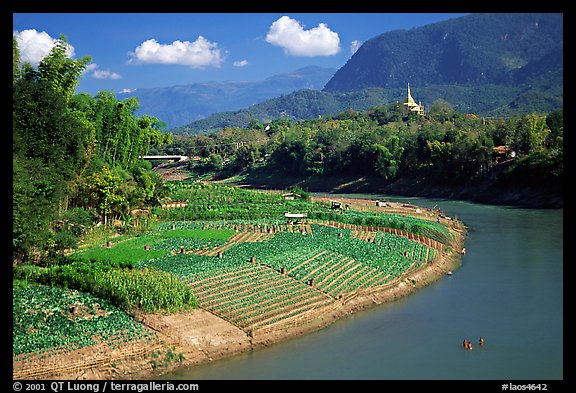Fields on the banks of the Nam Khan river. Luang Prabang, Laos