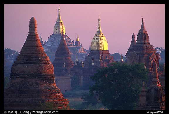 Innumerable temples seen from Mingalazedi. Bagan, Myanmar (color)