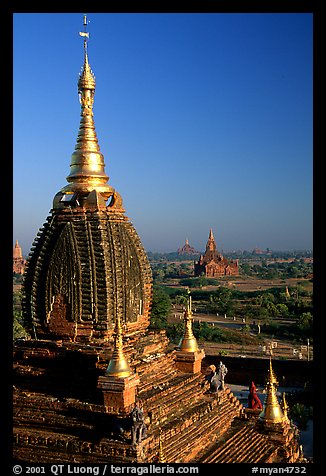 Gilded temples seen from Dhammayazika. Bagan, Myanmar