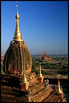 Gilded temples seen from Dhammayazika. Bagan, Myanmar ( color)