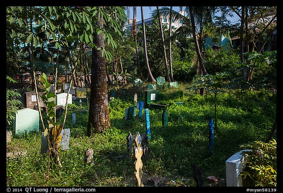 Tombs and vegetation in Muslim Cemetery. Yangon, Myanmar (color)