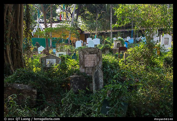 Graves and vegetation in Muslim Cemetery. Yangon, Myanmar (color)