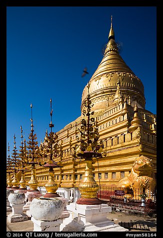 Umbrellas and main stupa, Shwezigon Pagoda. Bagan, Myanmar