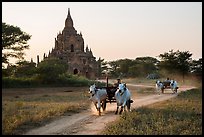 Ox carts and Tayok Pye temple. Bagan, Myanmar
