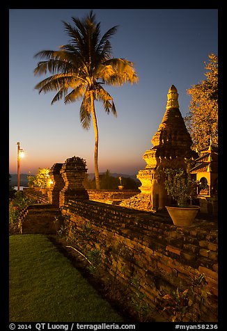 Palm tree and stupa at sunset. Bagan, Myanmar