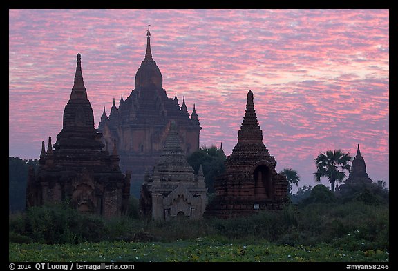 Temples profiled against brilliant sunrise sky. Bagan, Myanmar