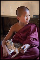 Novice petting cat, Shweyanpyay Monastery, Nyaung Shwe. Inle Lake, Myanmar ( color)