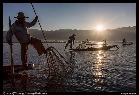 Intha fisherman using spear sticking through the top of basket to expose fish. Inle Lake, Myanmar (color)