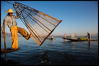 Intha fisherman lifting conical net basket. Inle Lake, Myanmar ( color)