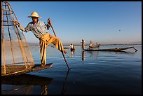Group of Intha people fishing. Inle Lake, Myanmar ( color)