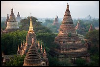 Dense array of ancient temples. Bagan, Myanmar