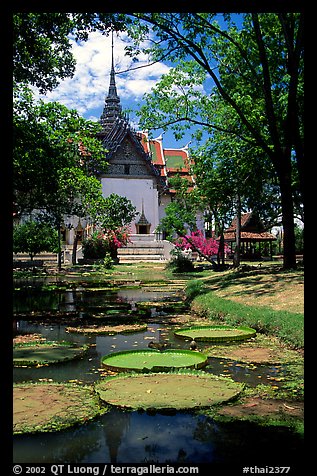 Lotus pond and Ayuthaya-style temple. Muang Boran, Thailand (color)