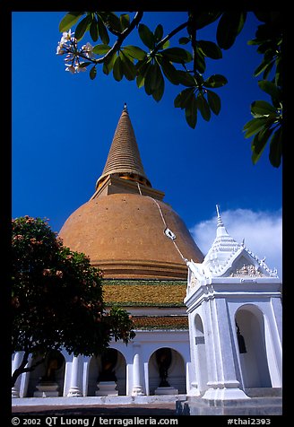 Phra Pathom Chedi, the tallest buddhist monument in the world. Nakhon Pathom, Thailand (color)