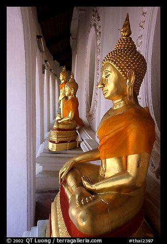 Buddhas images in gallery, Phra Pathom Wat. Nakhon Pathom, Thailand (color)