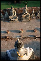 Buddha images, Wat Chai Mongkon. Ayuthaya, Thailand (color)
