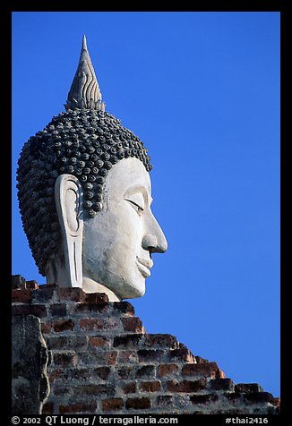 Buddha head, Wat Chai Mongkon. Ayutthaya, Thailand