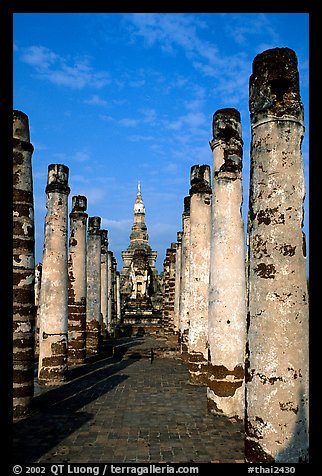 Ruined columns. Sukothai, Thailand