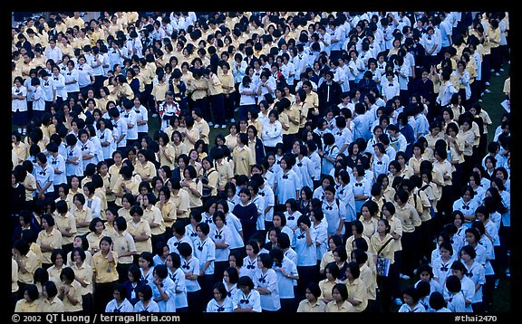 Rows of uniformed school girls lined up during prayer. Chiang Rai, Thailand (color)