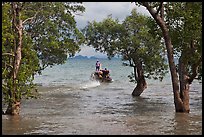 Mangroves and boat in distance, Ao Rai Leh East. Krabi Province, Thailand