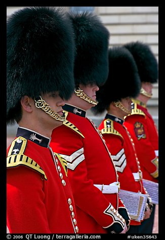 Musicians of the Guard  with tall bearskin hat and red uniforms. London, England, United Kingdom