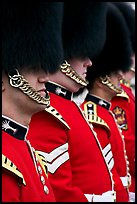 Guards with tall bearskin hat and red tunic standing in a row. London, England, United Kingdom