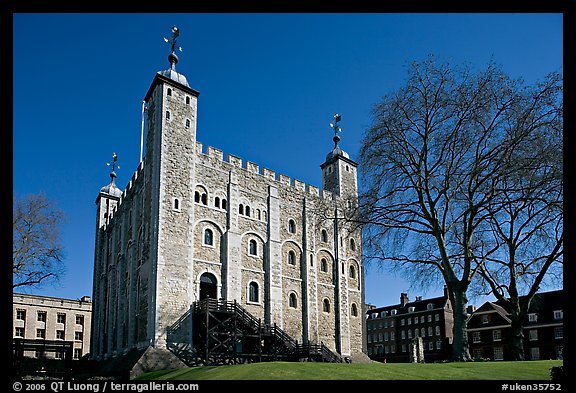 White Tower and tree, the Tower of London. London, England, United Kingdom