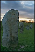 Megaliths forming part of a 348-meter diameter stone circle, sunset, Avebury, Wiltshire. England, United Kingdom