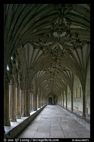 Cloister gallery, Canterbury Cathedral. Canterbury,  Kent, England, United Kingdom