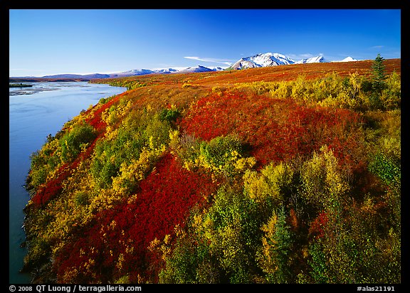 Susitna River and autumn colors on the tundra. Alaska, USA (color)