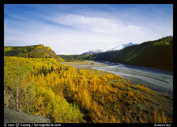 Matanuska River valley and aspens in fall color. Alaska, USA (color)