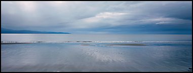 Seascape with wet beach and clouds. Homer, Alaska, USA