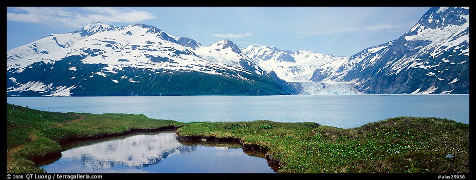 Fjord with snowy mountains. Prince William Sound, Alaska, USA (color)