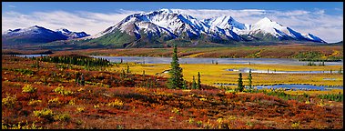Tundra autumn scenery with snowy peaks. Alaska, USA (Panoramic color)