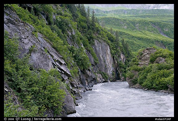 River, vegetation covered rock walls, Keystone Canyon. Alaska, USA
