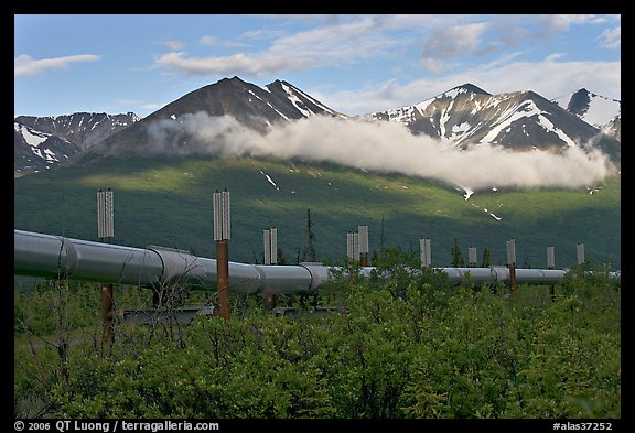 Trans-Alaska Pipeline and mountains. Alaska, USA