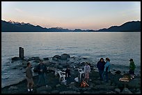 Families pickniking with fire, Resurrection Bay, sunset. Seward, Alaska, USA ( color)