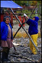 Inupiaq Eskimo women drying fish, Ambler. North Western Alaska, USA