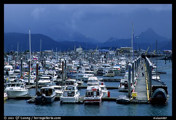 Small Boat Harbor on the Spit. Homer, Alaska, USA (color)