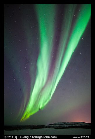 Aurora Borealis, Cleary Summit. Alaska, USA (color)