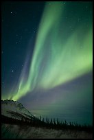 Northern Lights and starry night sky, Brooks Range. Alaska, USA ( color)