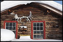 Log cabin facade with antlers. Wiseman, Alaska, USA
