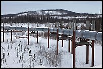 Trans Alaska Pipeline in winter. Alaska, USA