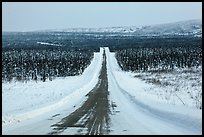 North Slope Haul Road in winter. Alaska, USA ( color)