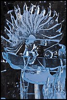 Detail of translucent pure ice sculpture. Fairbanks, Alaska, USA (color)