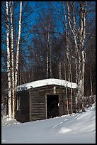 Historic cabin in winter, Chatanika. Alaska, USA (color)