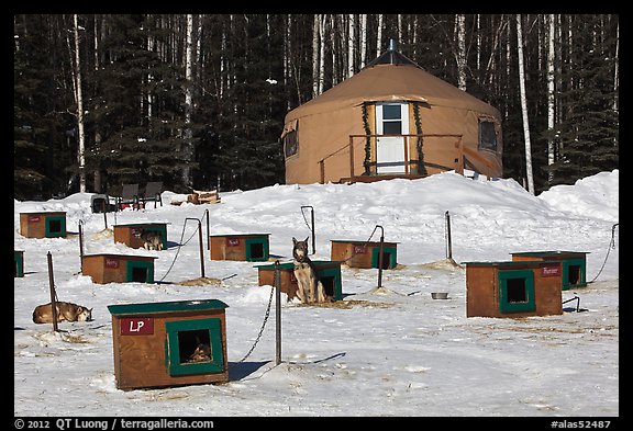 Doghouses and yurt tent. North Pole, Alaska, USA (color)