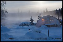 Greenhouse and steam. Chena Hot Springs, Alaska, USA ( color)