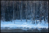 Stream and forest in winter. Chena Hot Springs, Alaska, USA (color)