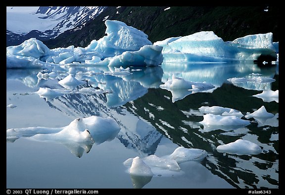 Icebergs and mountain reflections, Portage Lake. Alaska, USA (color)